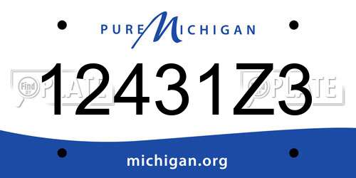 12431Z3 Michigan License Plate