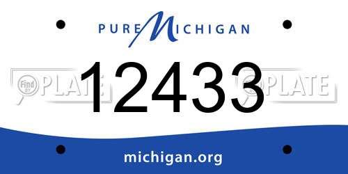 12433 Michigan License Plate
