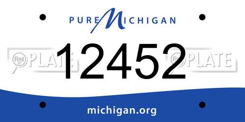 12452 Michigan License Plate