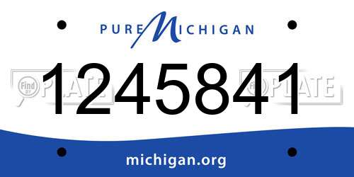 1245841 Michigan License Plate