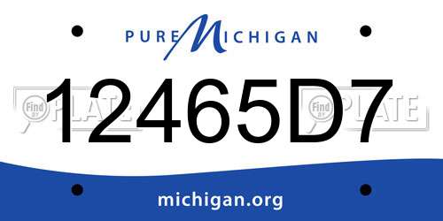 12465D7 Michigan License Plate