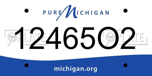 12465O2 Michigan License Plate