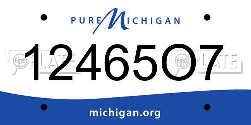 12465O7 Michigan License Plate