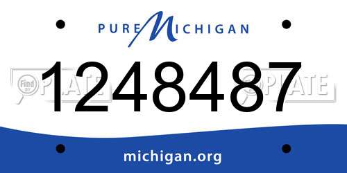 1248487 Michigan License Plate