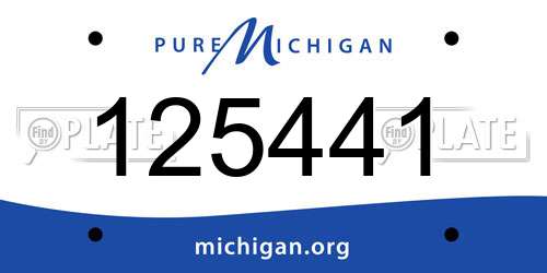 125441 Michigan License Plate