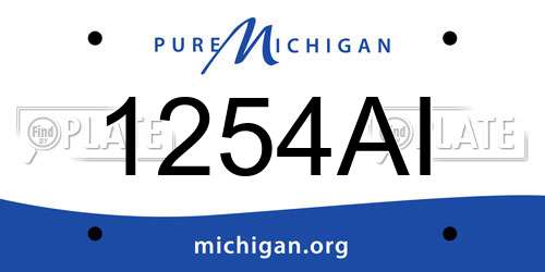 1254AI Michigan License Plate