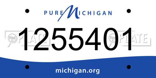 1255401 Michigan License Plate