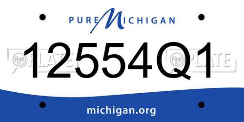 12554Q1 Michigan License Plate