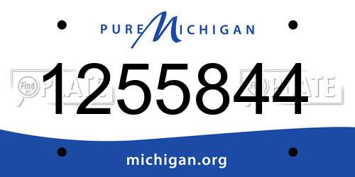 1255844 Michigan License Plate
