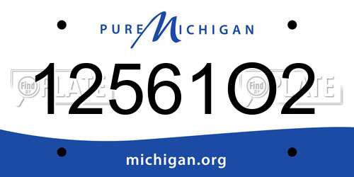 12561O2 Michigan License Plate