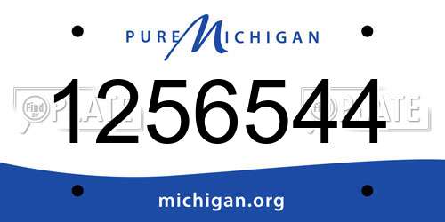 1256544 Michigan License Plate