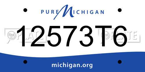 12573T6 Michigan License Plate