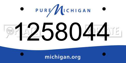 1258044 Michigan License Plate