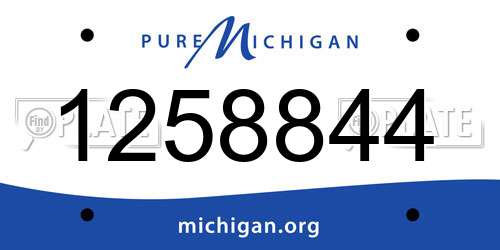 1258844 Michigan License Plate