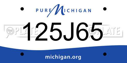 125J65 Michigan License Plate