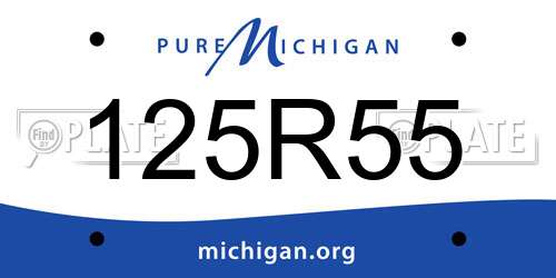 125R55 Michigan License Plate
