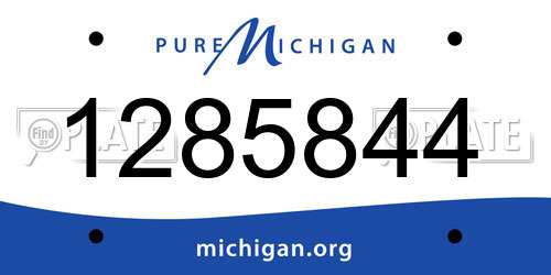 1285844 Michigan License Plate