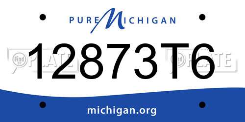 12873T6 Michigan License Plate