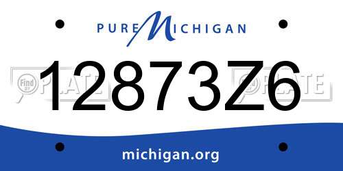 12873Z6 Michigan License Plate