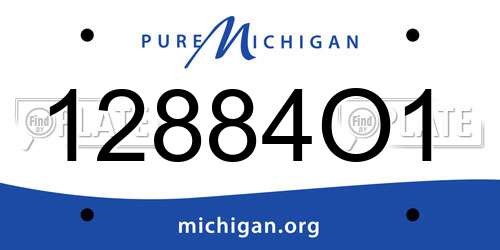 12884O1 Michigan License Plate