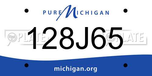 128J65 Michigan License Plate