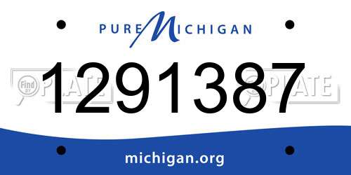 1291387 Michigan License Plate