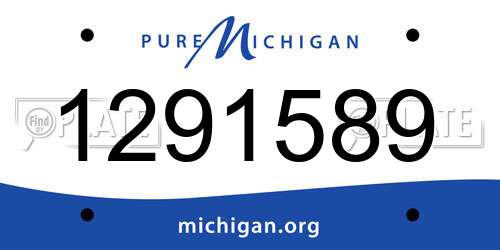 1291589 Michigan License Plate