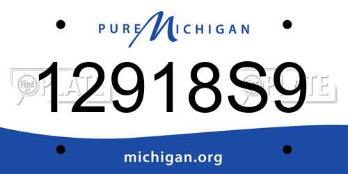 12918S9 Michigan License Plate