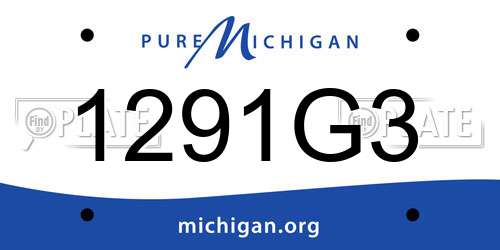 1291G3 Michigan License Plate