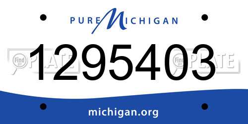 1295403 Michigan License Plate