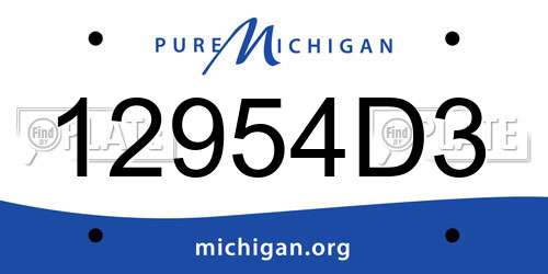 12954D3 Michigan License Plate