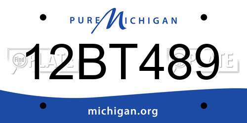 12BT489 Michigan License Plate