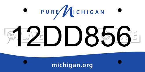 12DD856 Michigan License Plate