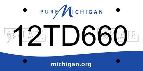 12TD660 Michigan License Plate