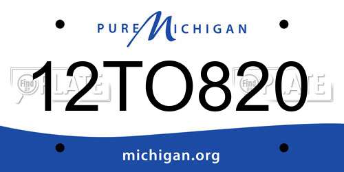 12TO820 Michigan License Plate
