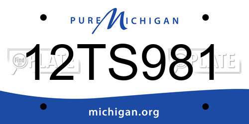 12TS981 Michigan License Plate
