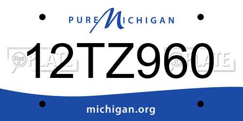 12TZ960 Michigan License Plate