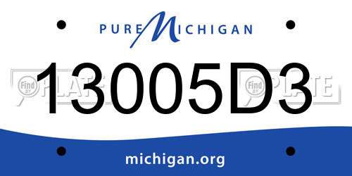 13005D3 Michigan License Plate