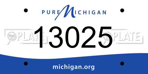 13025 Michigan License Plate