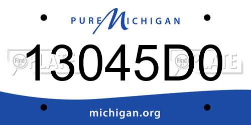 13045D0 Michigan License Plate