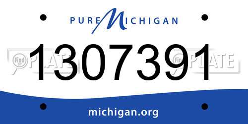 1307391 Michigan License Plate