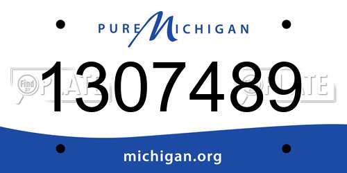 1307489 Michigan License Plate