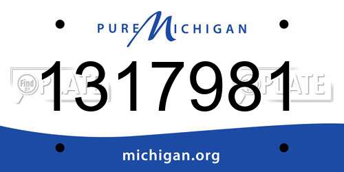1317981 Michigan License Plate