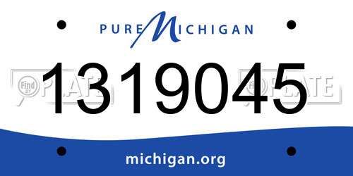 1319045 Michigan License Plate