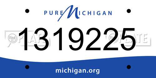 1319225 Michigan License Plate