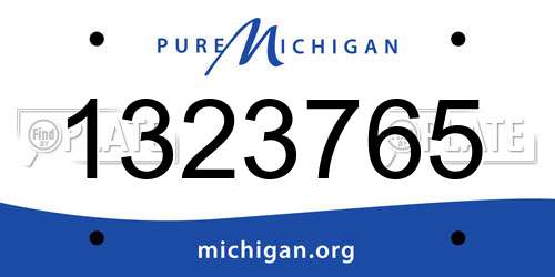 1323765 Michigan License Plate