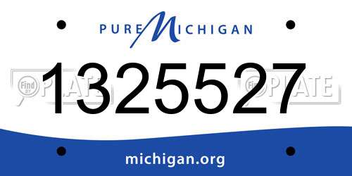 1325527 Michigan License Plate