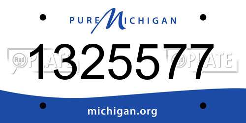 1325577 Michigan License Plate