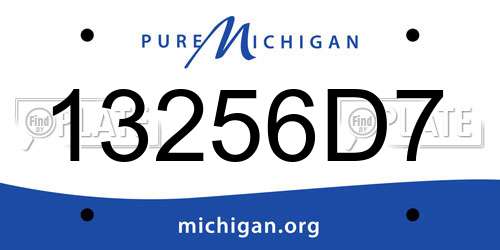 13256D7 Michigan License Plate
