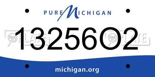 13256O2 Michigan License Plate